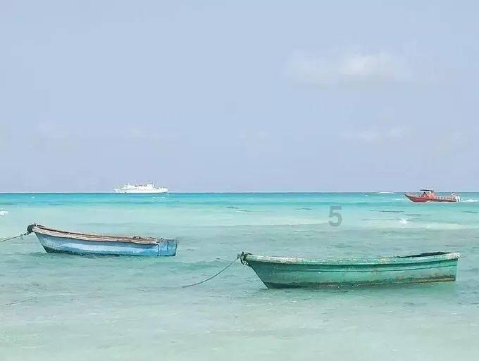 《谋杀夏天》:刑侦故事外壳下,一场人性的探索