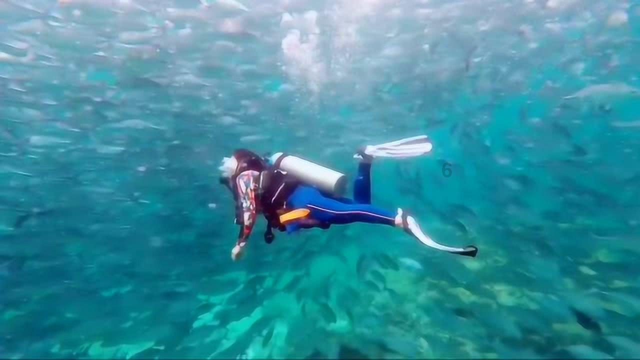 中国平安“1.8财神节”再升级,一条龙专业服务打造全新客户体验